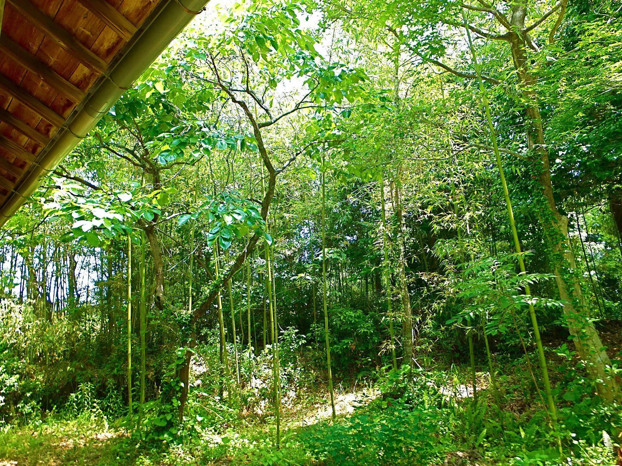 Kominka Sharehouse Hooju Miyazaki Exteriör bild